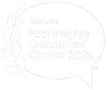 gartner-peer-2025